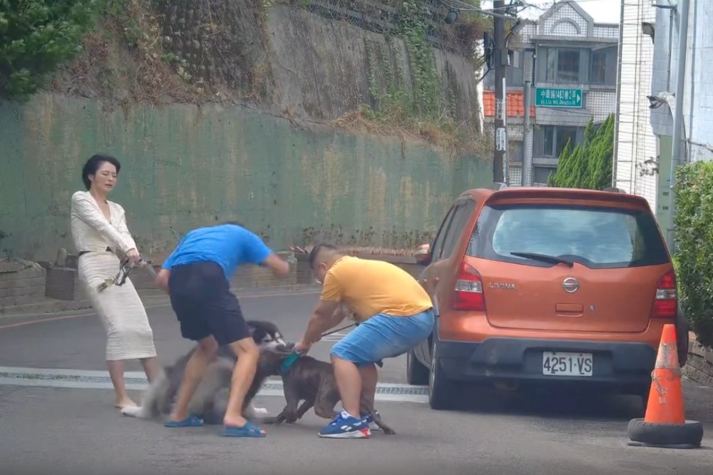 比特犬當街攻擊雪橇犬3人拉不開「傷口達10公分」 飼主事後嫌醫藥費貴