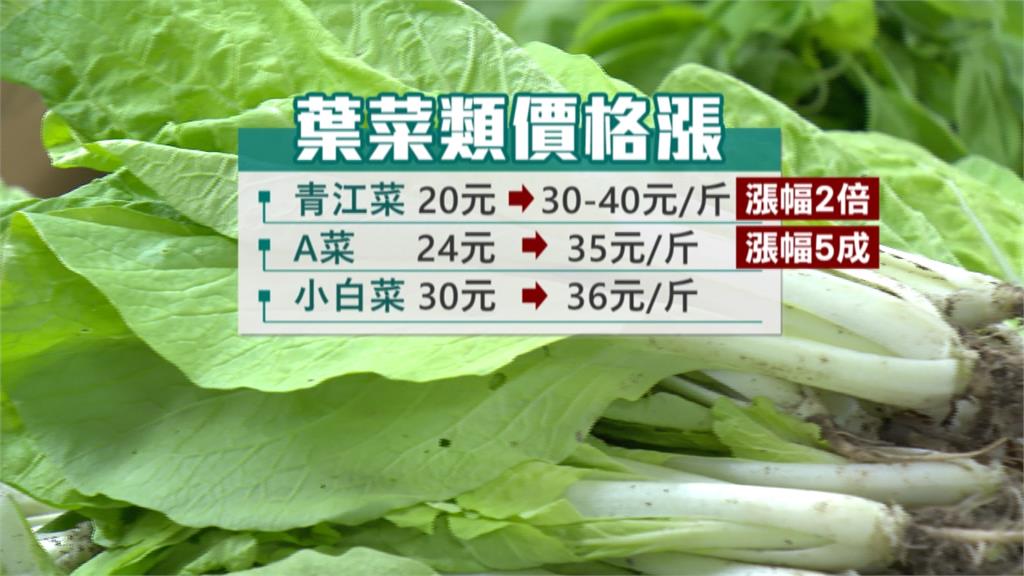 豪雨強灌中南部 青江菜價翻兩倍