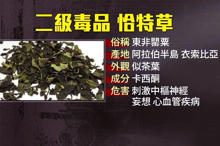 當心！首宗二級毒品恰特草 外型似茶葉易搞混