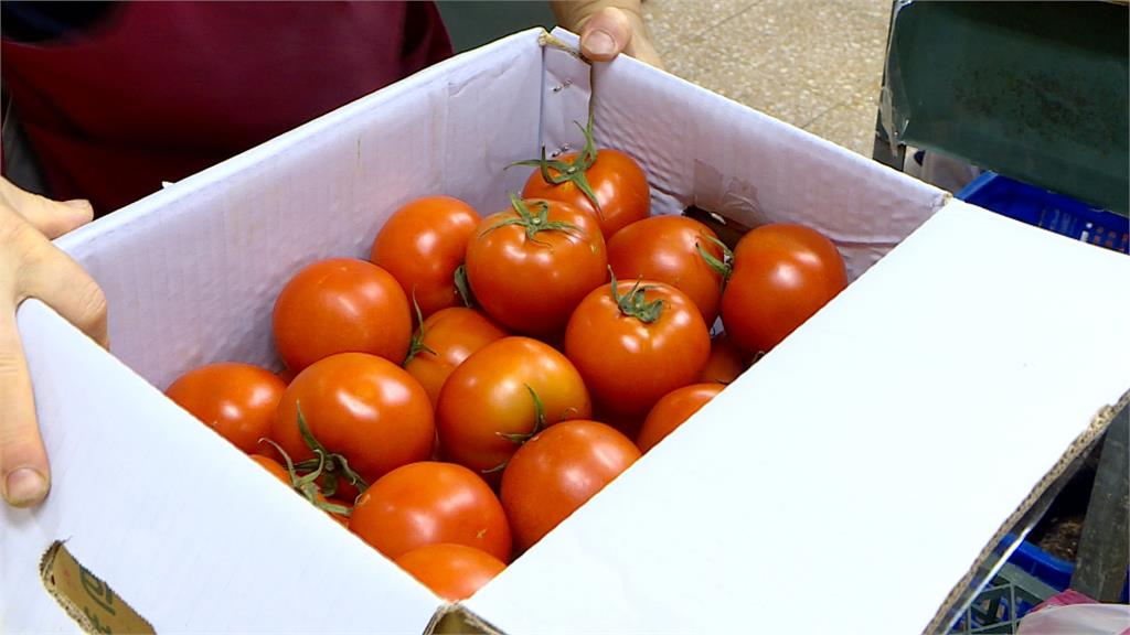 南部雨狂瀉！菜價創半年新高　荷包失血　四季豆、小黃瓜都翻倍漲