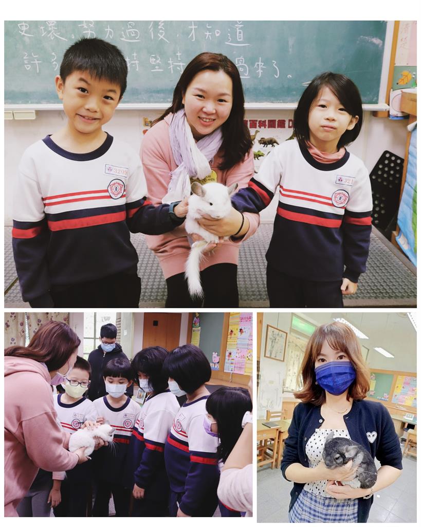 龍貓原型長這樣！？  自然課英語教學找萌寵當主角  三光國小學生驚呼:超可愛