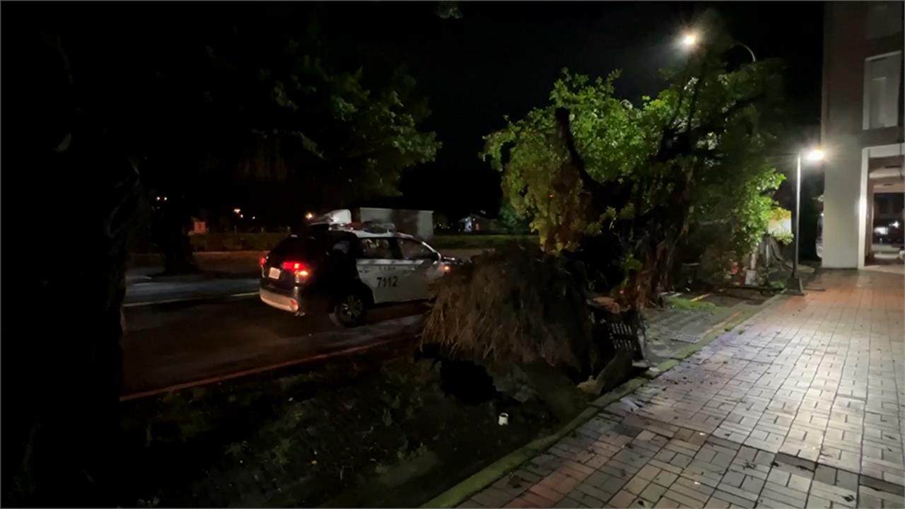 最新／深夜執勤險喪命！台中20米路樹砸中2員警　驚悚畫面曝光