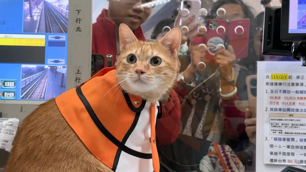 蜜柑站長回娘家! 上演超萌換裝秀 值班台擠滿粉絲