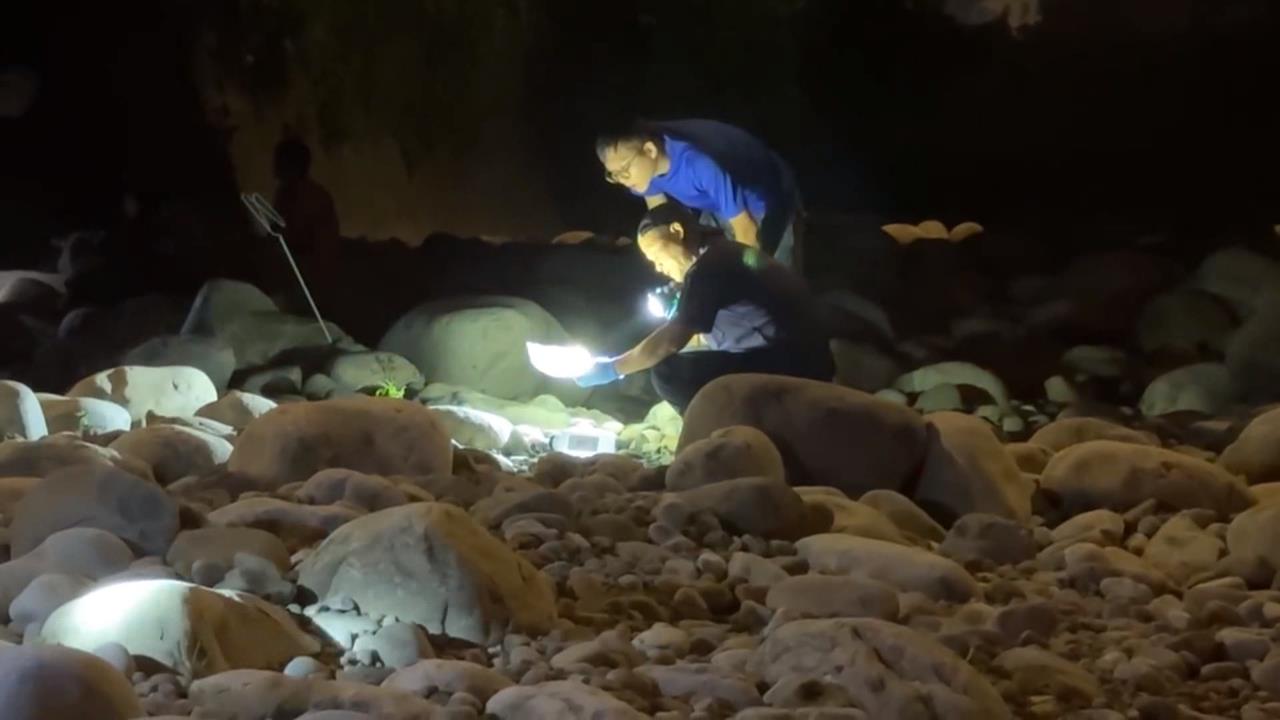 台中男子釣魚未歸 陳屍河床 警研判無外力介入