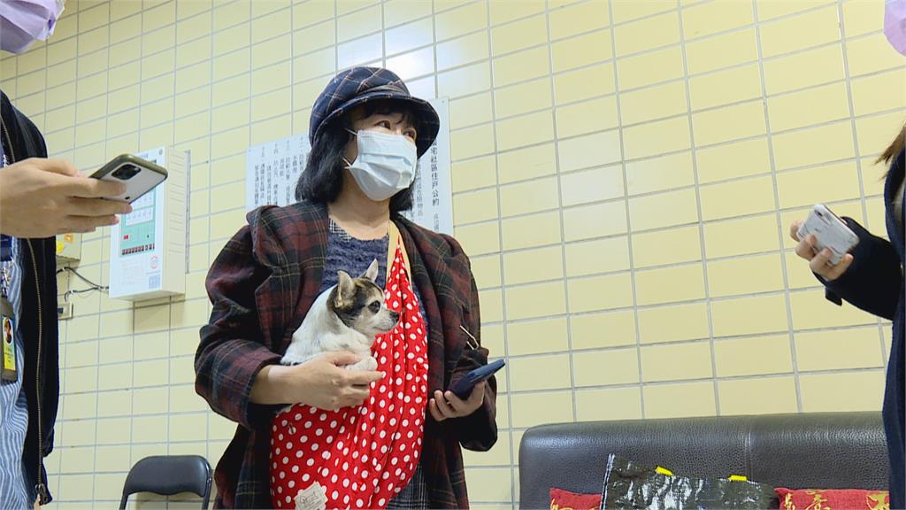 愛犬遭撞慘死　被認定「寵物只是物品」　飼主不滿判決盼釋憲