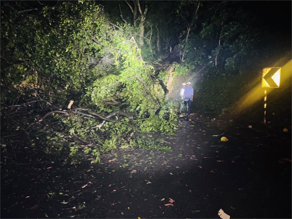 快新聞／大雨釀禍？北市文化大學後山路樹倒塌　交通中斷受阻