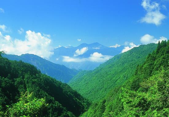 快新聞／天兔颱風減弱為熱帶性低壓　太平山國家森林遊樂區明天開園