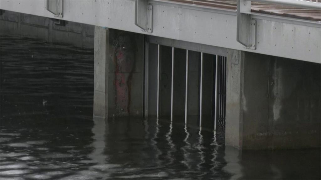 瑞典蓋水底隧道　幫助魚自由通行「穿梭湖泊與海洋」