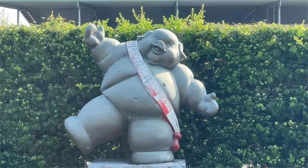 女建商投訴花6千萬投標「豬隻電宰」　最後被騙一頭空