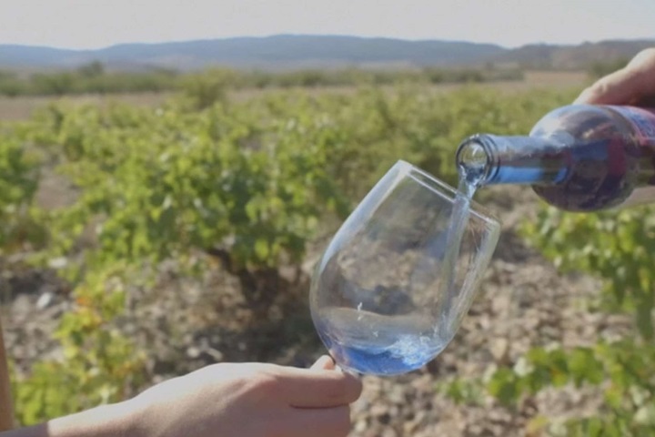 絕美藍酒誕生 竟是百分百有機葡萄酒