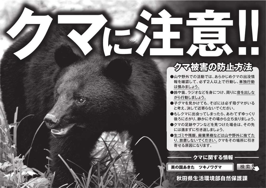 日本秋田縣野熊亂竄　入侵陸上自衛隊駐囤地