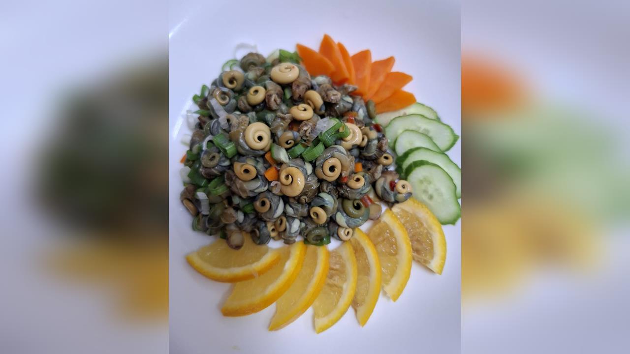 潮間帶稀有鮮味「珠螺」 北海岸漁人私藏好滋味