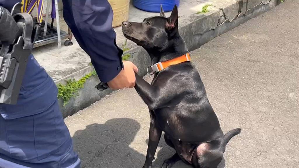 宜蘭員警踹派出所狗狗洩憤　遭同事檢舉挨罰1.5萬