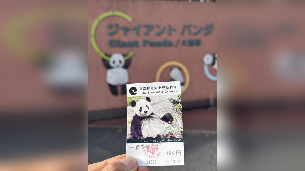 上野動物園東貓熊館開拆　貓熊迷告別「香香舊家」