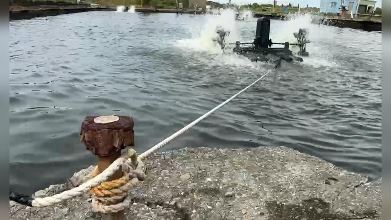 鳳凰南移屏東防颱　遊艇業者加固船隻、蝦農備發電機