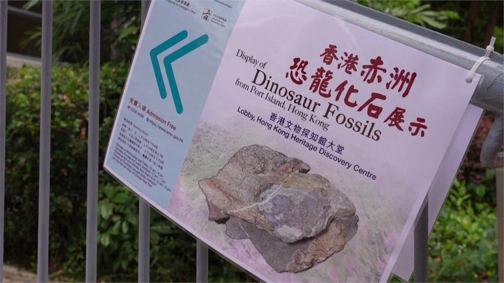 香港首次發現！　赤洲出土恐龍化石吸引民眾圍觀