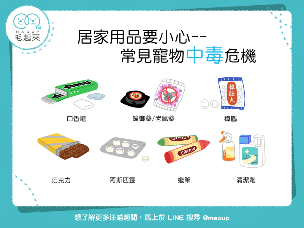 【不可不知】和平日常的危機四伏?!7種常見的貓狗中毒危機!