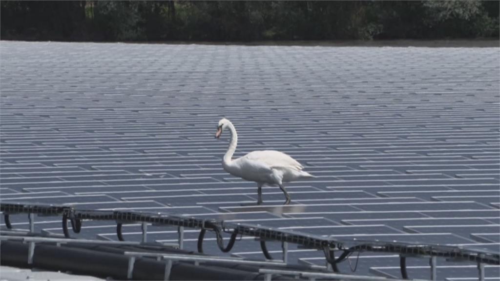 法國廢棄礦場轉型！　成歐洲最大浮動太陽能發電廠