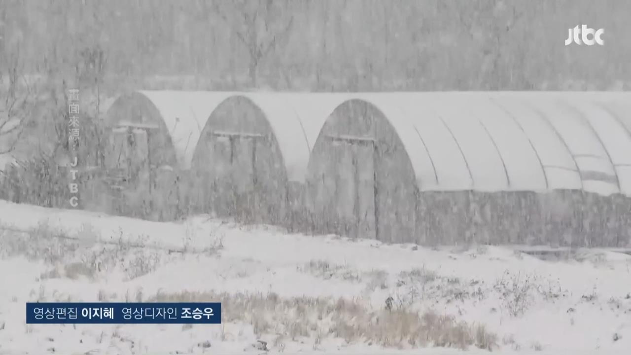 日本海沿岸降大雪！ 雪國「新潟」積雪達1公尺