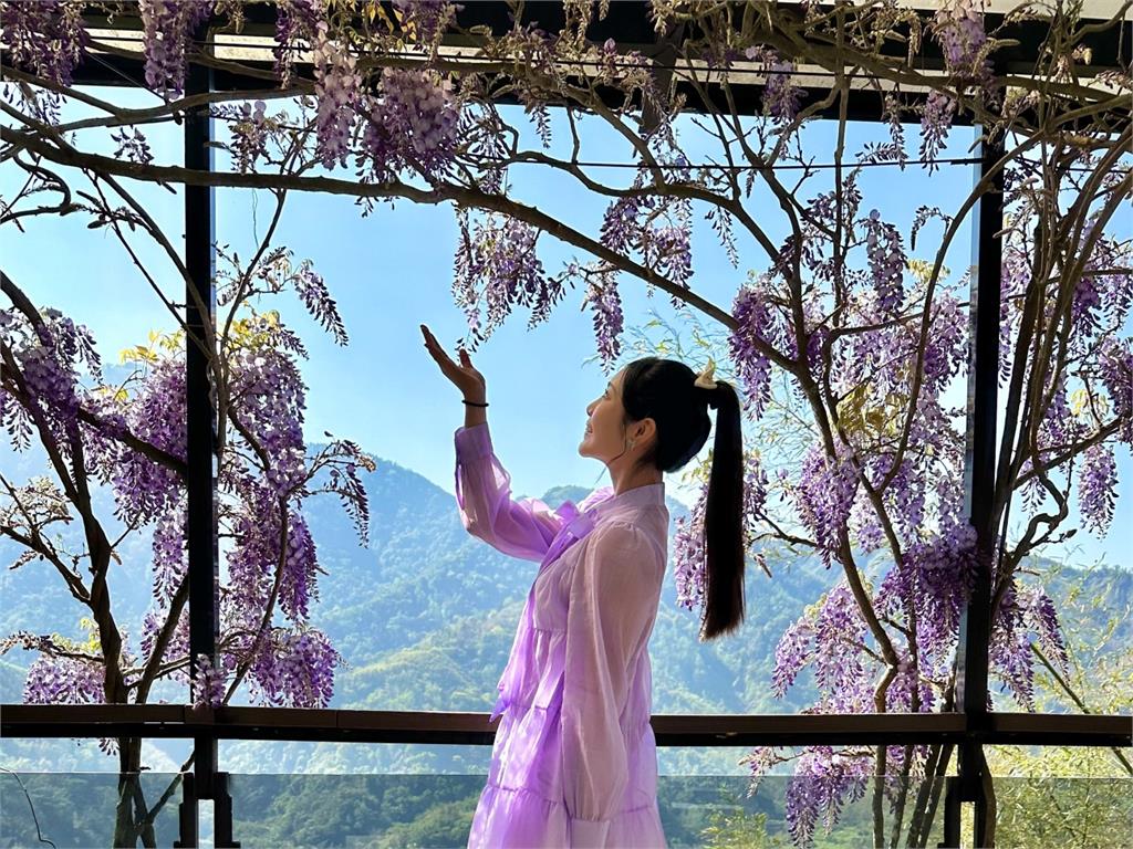 療癒女聲楊淨宇瑞里紫藤花演出 暢遊海鼠山、品咖啡、特色餐