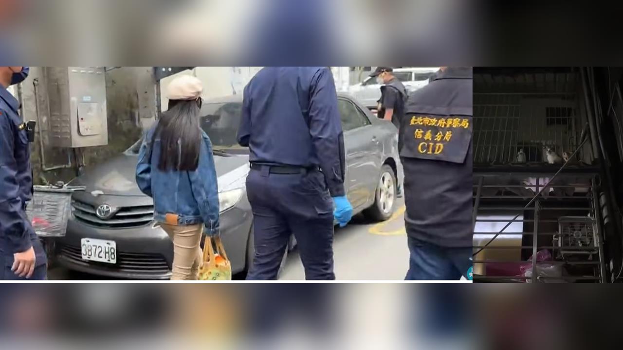 快新聞/14貓屍惹眾怒!女子遭爆曾應徵中途貓咖 許淑華嘆悲劇再度發生