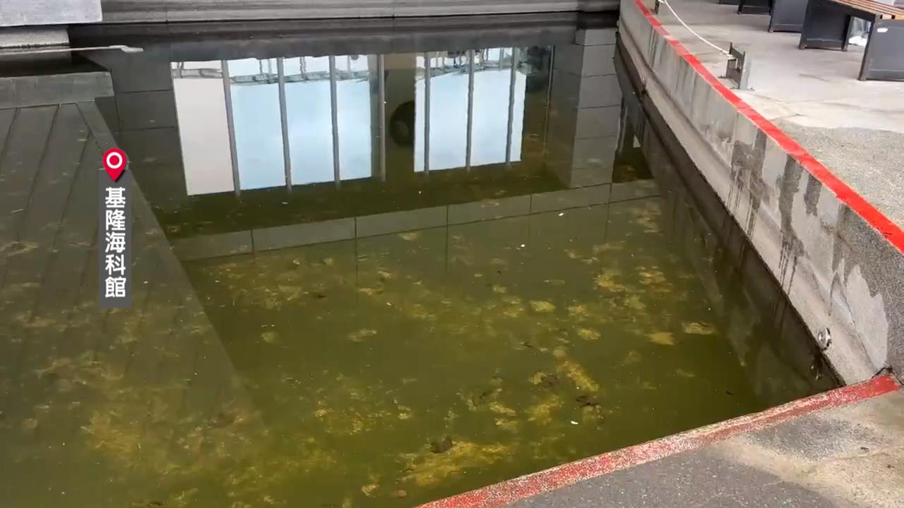 基隆海科館外池塘成污水池!? 館方認"淡季"尚未維護