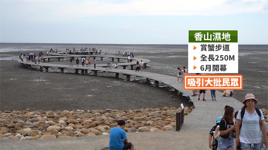保育螃蟹生態 香山濕地打造賞蟹步道