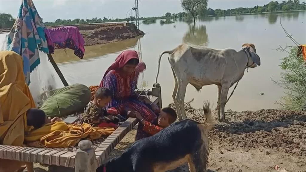 巴基斯坦豪雨釀十年最慘洪患　已937死逾3300萬人受災