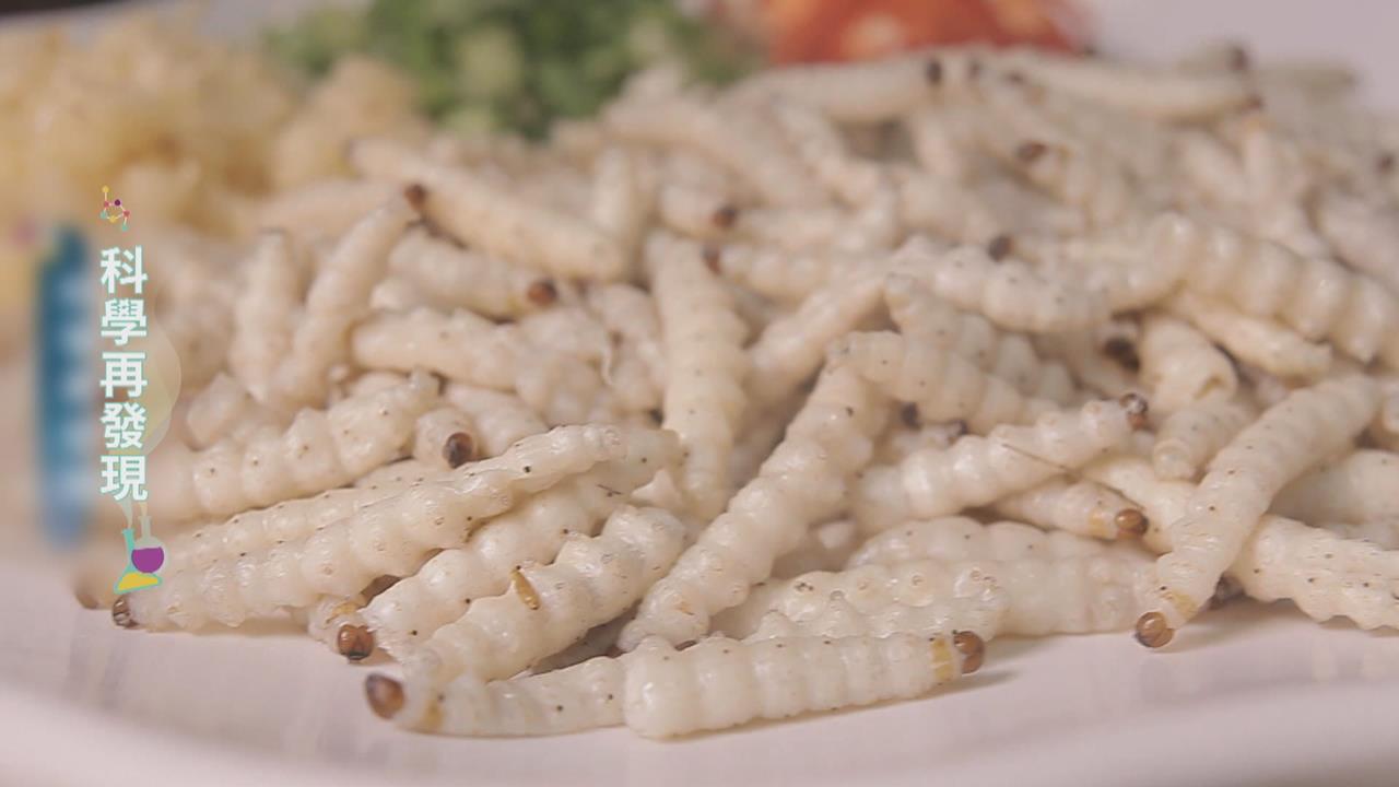 運用上百種　蟲蟲大餐解糧食危機？