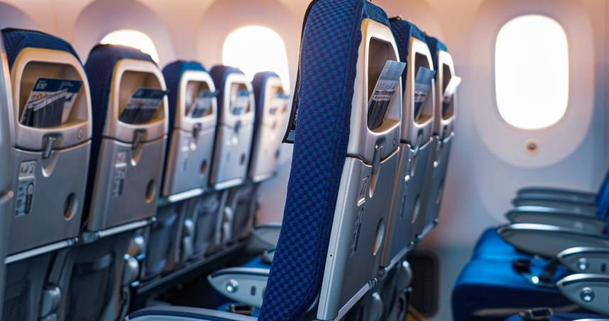 搭機被叫「美人魚」不是讚美！航空業暗語曝　真實意思超尷尬