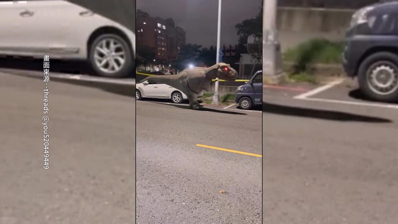 高雄操偶訓練驚見「恐龍趴趴走」　網友笑：怎麼沒有牽繩