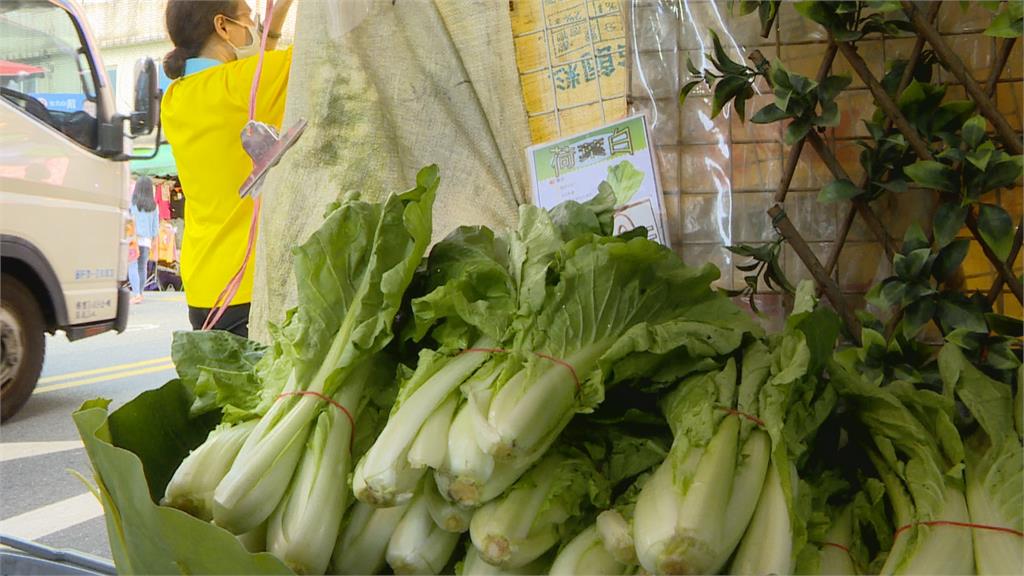 豪雨過境菜價飆！　「這些蔬菜」價格翻倍漲