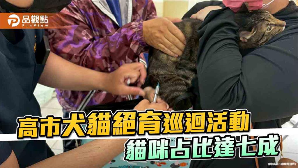 貓咪飼養熱潮持續升溫 高市動保處林園巡迴絕育場萌態十足