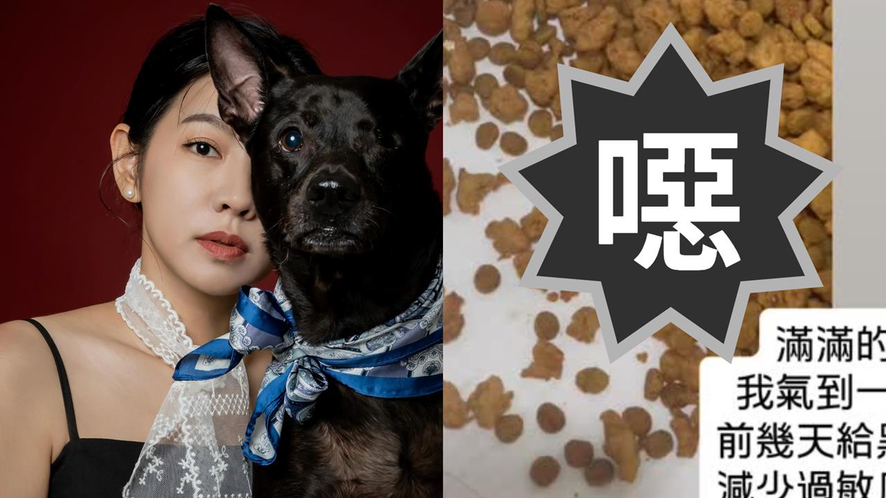 米可白愛犬狂拉肚子真相曝光！驚見「1景象」怒控平台遭冷回：補償100元