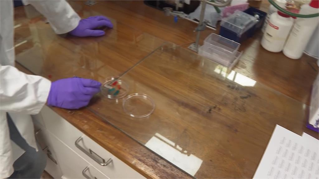 英國劍橋大學研發「果凍電池」　延伸不失導電性！將掀醫學革命？