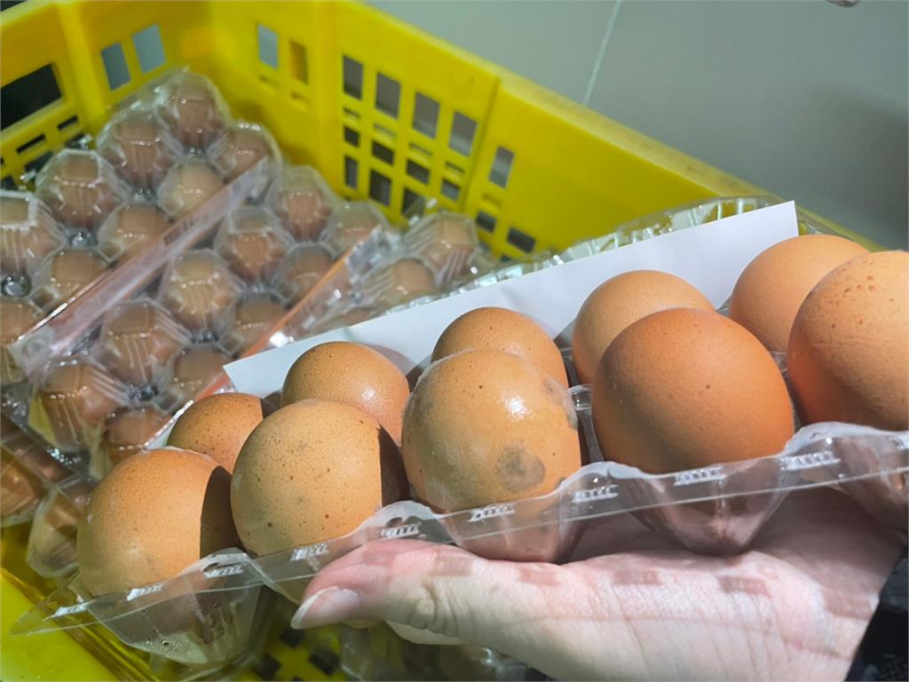 快新聞／噁！泰國進口蛋發霉業者還將回收蛋「再製成液蛋」　桃園衛生局開鍘了