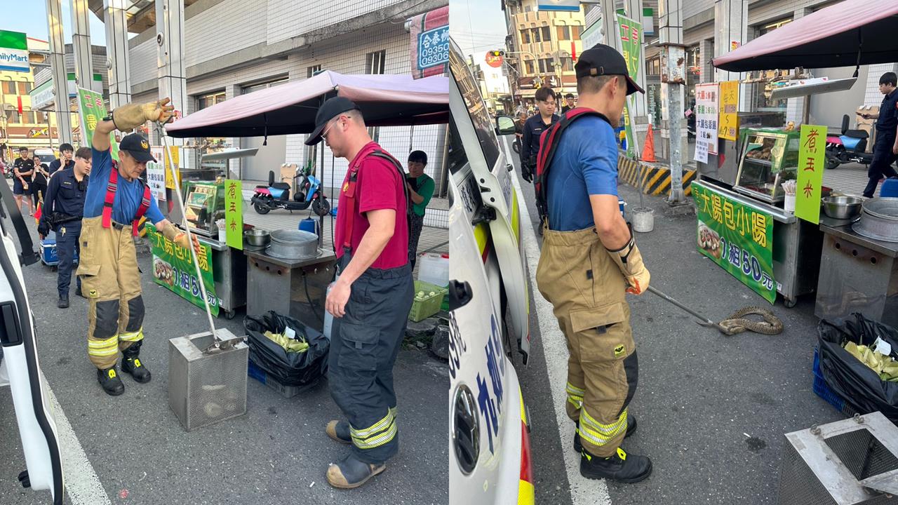 男逛街突遭「1公尺巨蟒」勒頸⋯後腦重摔爆血！專家：恐是「這動作」成攻擊主因