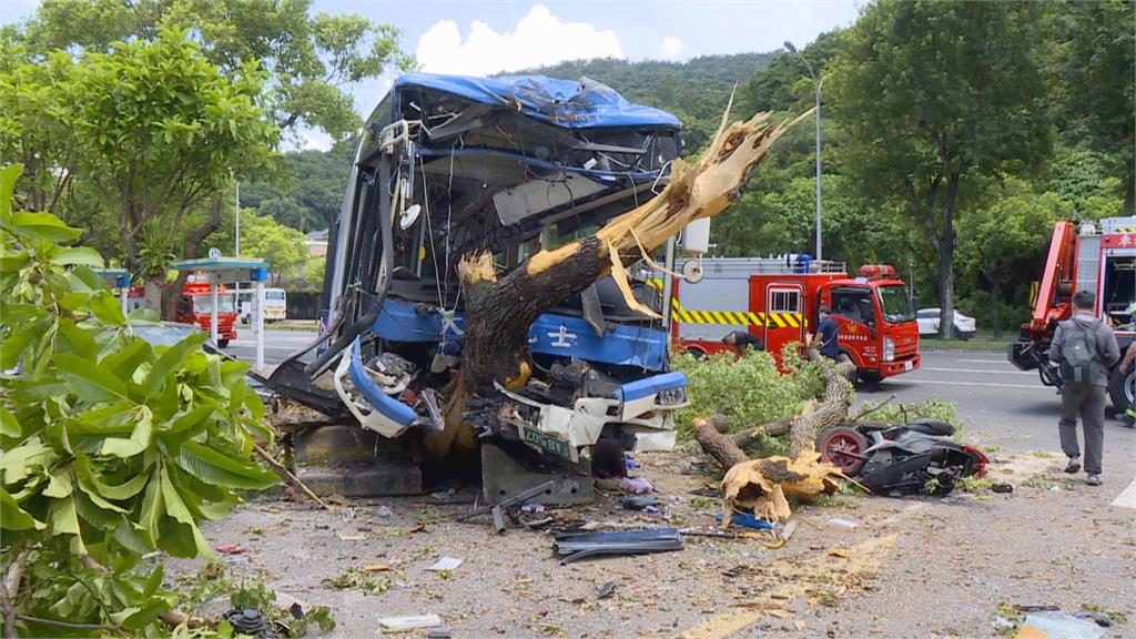 恍神？公車撞路樹車頭被撞穿　駕駛一度受困釀8傷