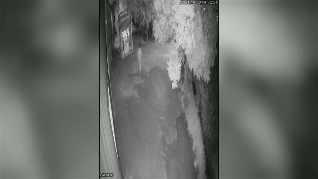 斗膽「欺神太甚」！男偷土地公神尊香爐丟水溝