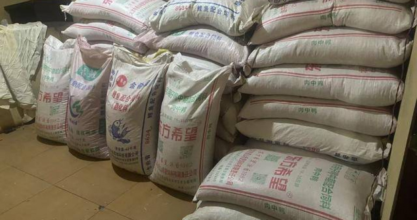 千畝玉米慘變血本無歸！農民疑買到假種子　損失上百萬求償卡關