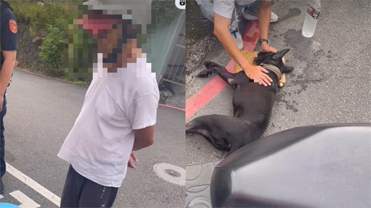 小黑狗遭惡飼主騎車拖行「流血、大小便失禁」慘死!他冷回:養5年都這樣遛