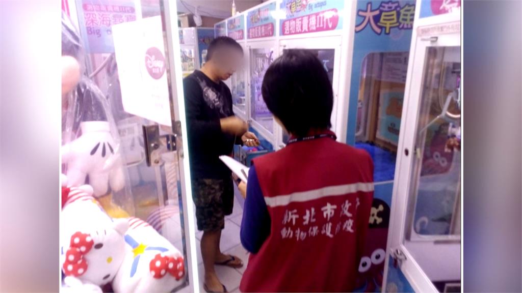 娃娃機擺中國豬肉製品 台主恐被罰百萬