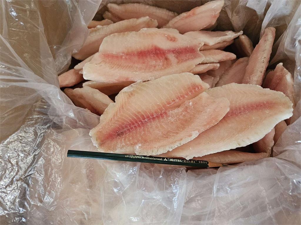 快新聞／離譜！廠商違規進口中國冷凍吳郭魚　虛報貨名想蒙混遭海關抓包