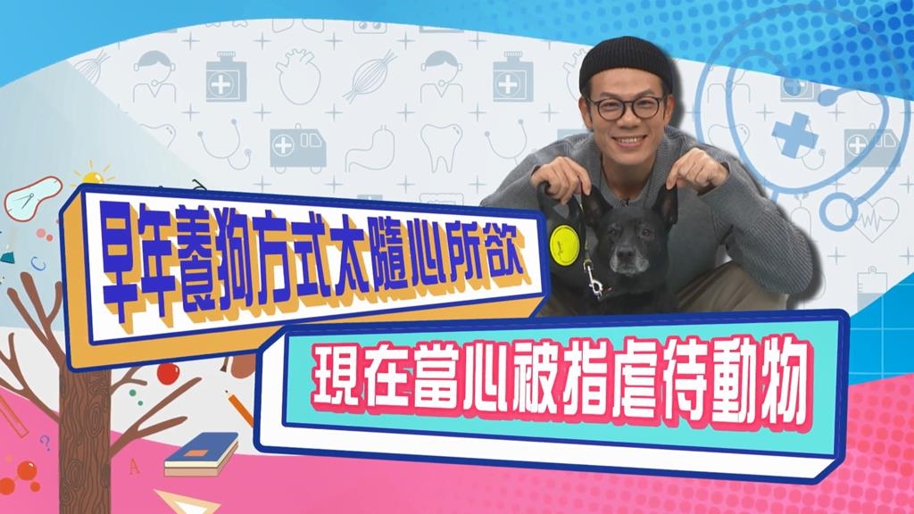 (影)／早年養寵物隨心所欲 現在當心被指虐待動物？