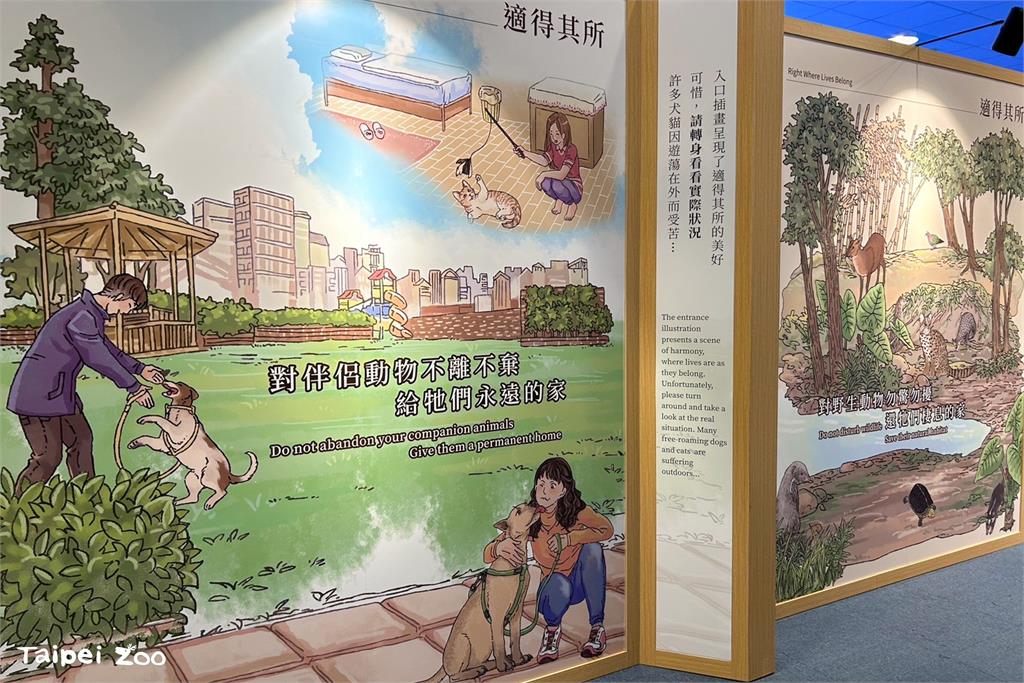 快新聞／穿山甲、石虎屢遭攻擊！　北市動物園：遊蕩犬貓威脅本土動物勿任意餵食、棄養