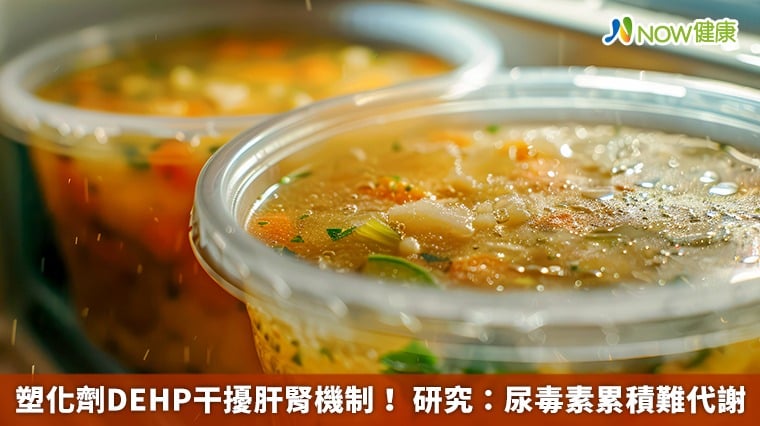 塑化劑DEHP干擾肝腎機制！ 研究：尿毒素累積難代謝