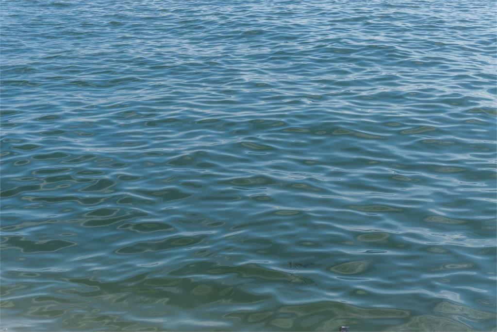 三重堤外大漢溪「驚見浮屍」　失聯少女7天後陳屍水面亡