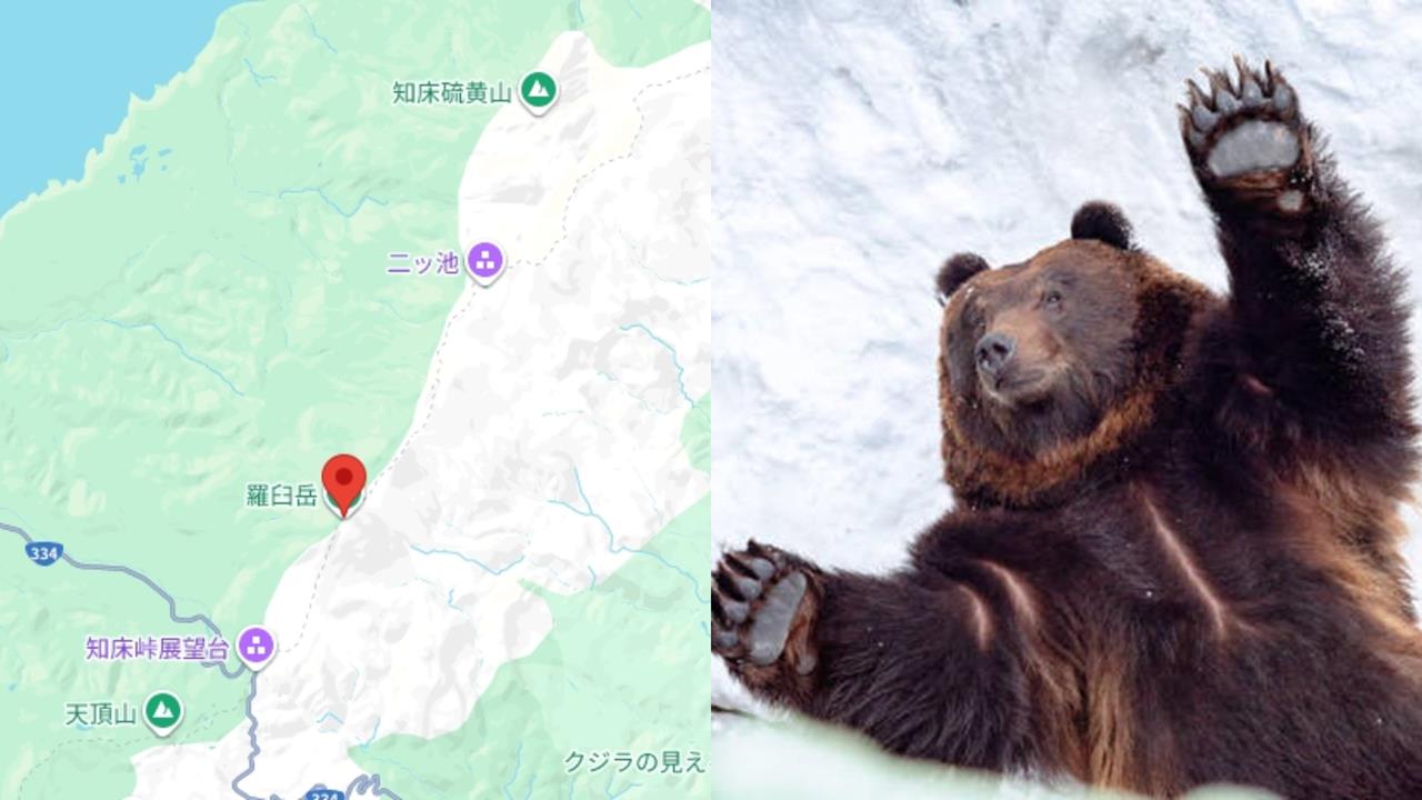 準新郎北海道登山被熊咬S!GPS手錶紀錄「遇害全過程」…屍體遭拖行數百公尺