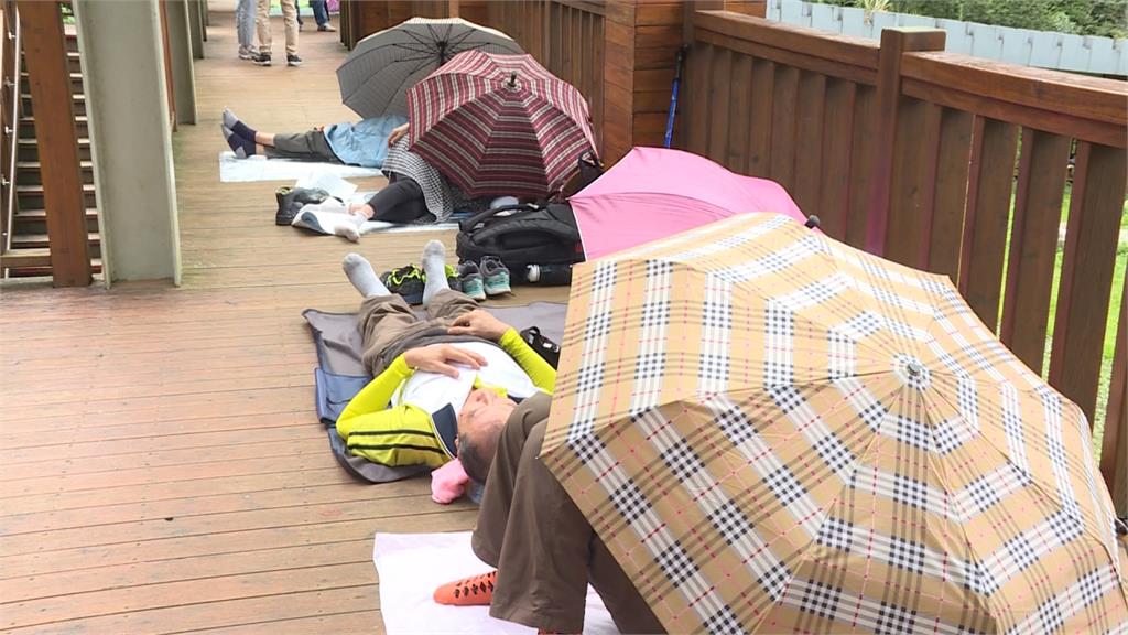 溪頭塞爆了！ 居民要求取消10元優惠票