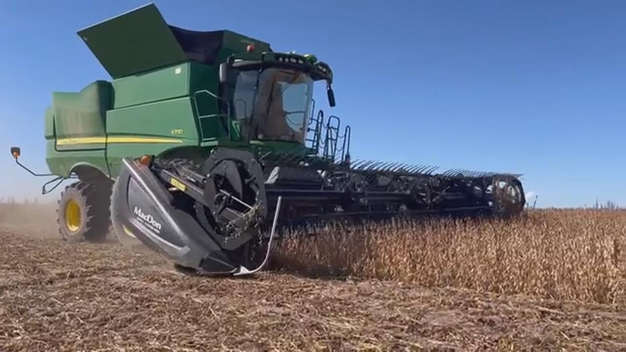 中國停買美國大豆 巴西大豆太貴令中方買家卻步